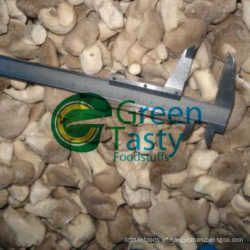 New Crop IQF Fresh Baby Oyster Mushroom